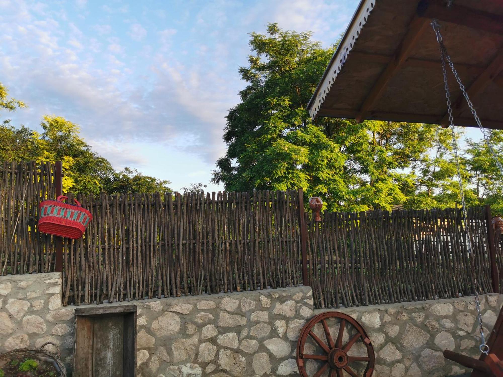 Bed and Breakfast La Madalina Selemet Экстерьер фото