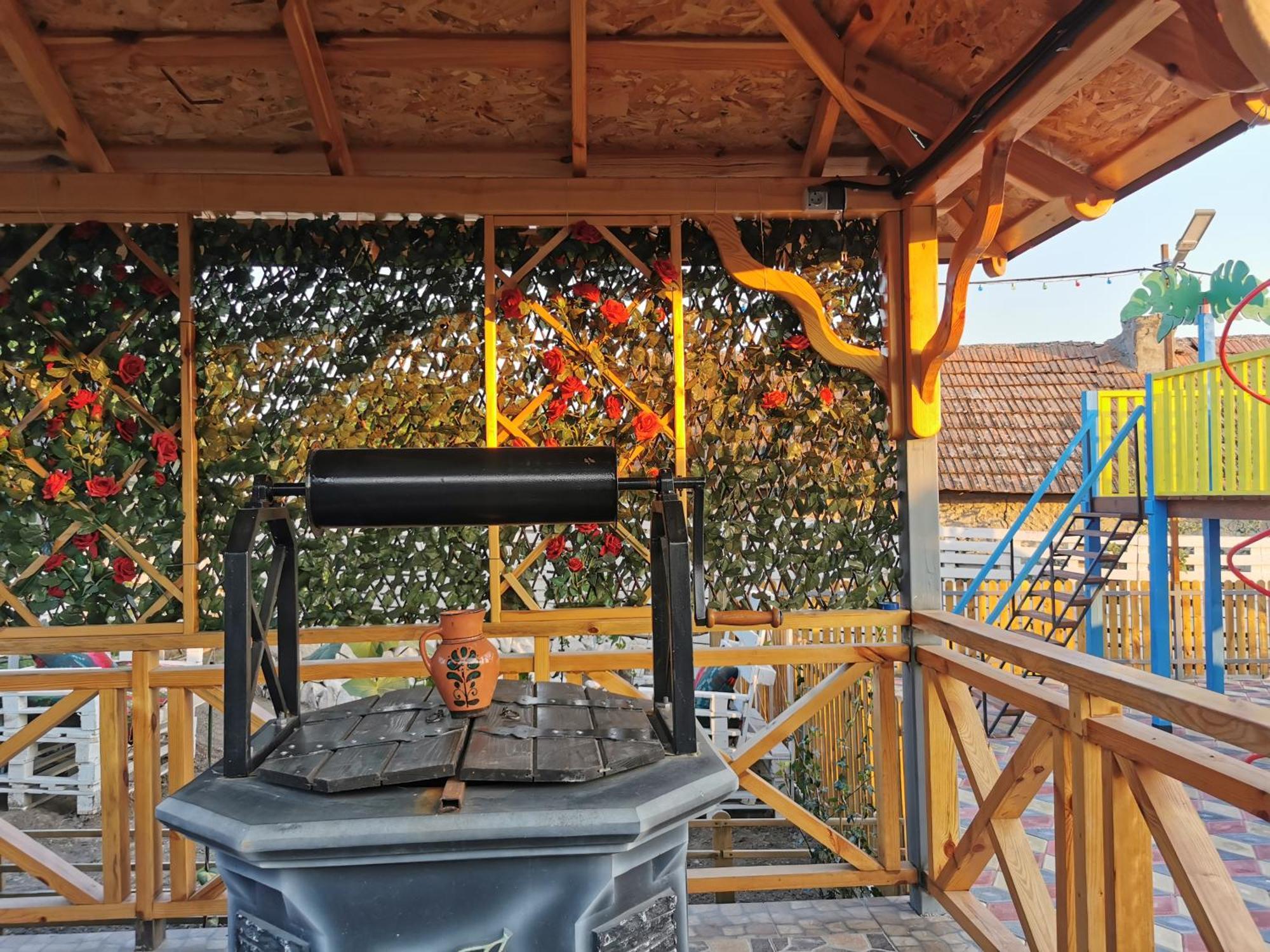 Bed and Breakfast La Madalina Selemet Экстерьер фото