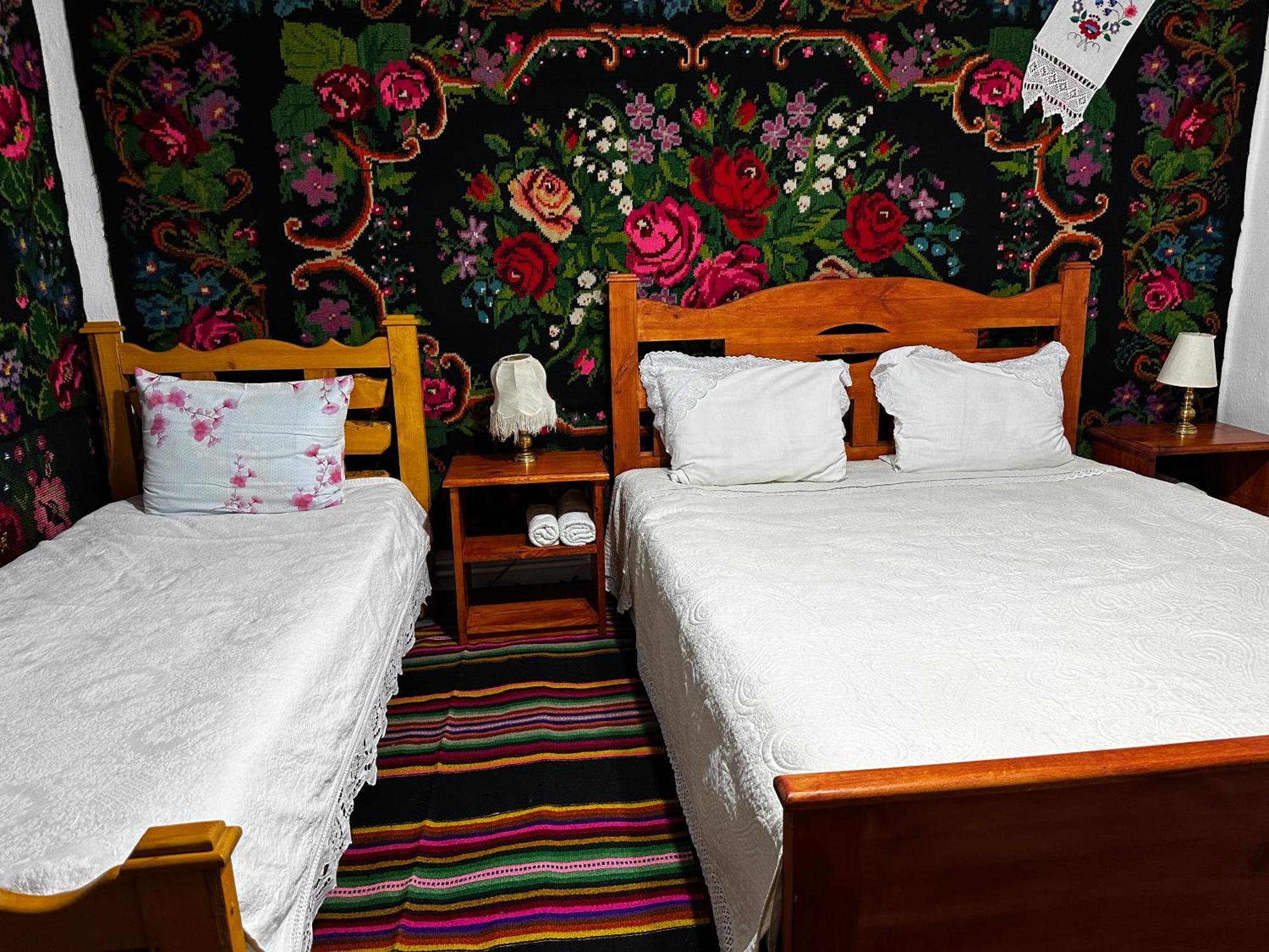 Bed and Breakfast La Madalina Selemet Экстерьер фото